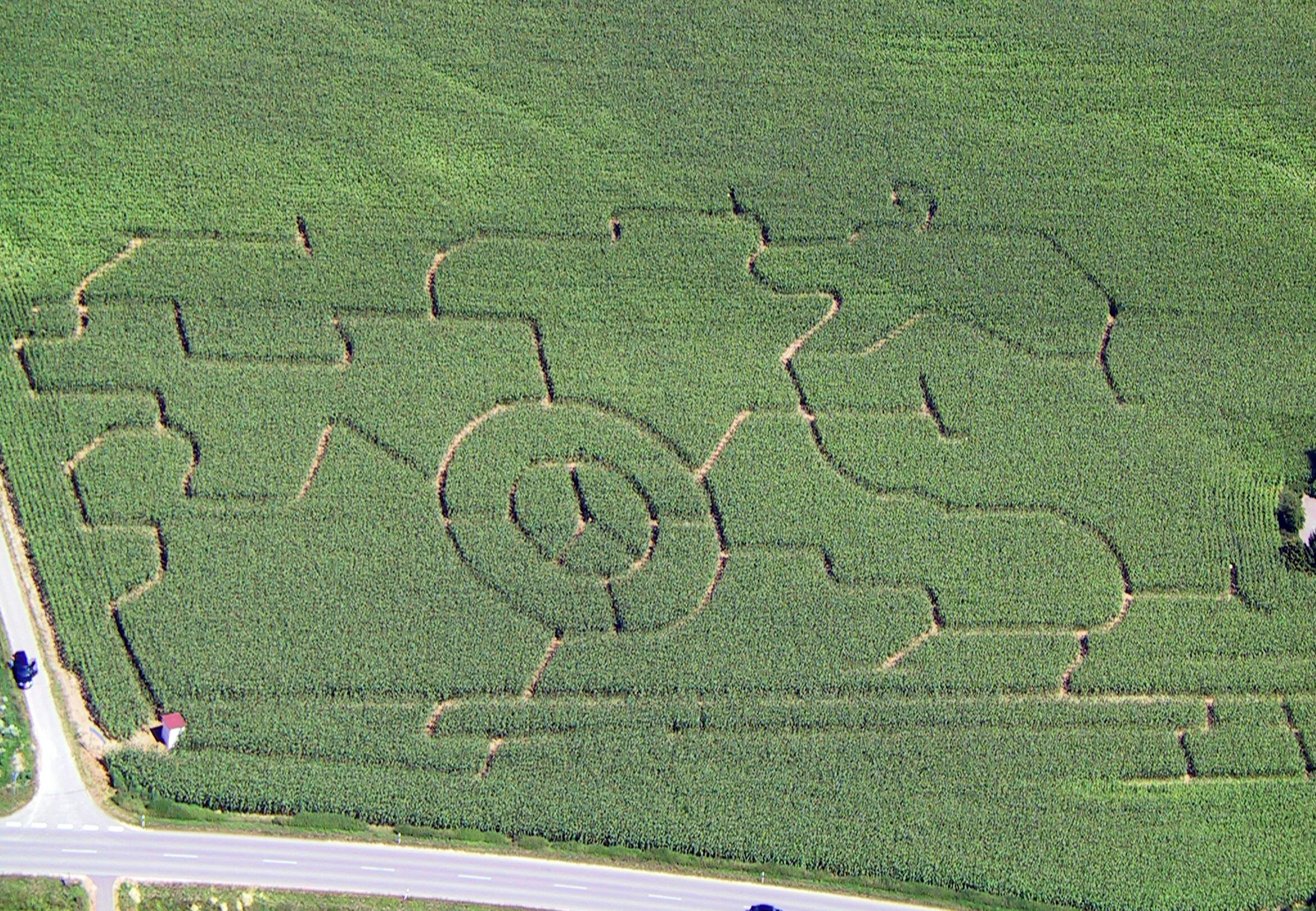 Unser Maislabyrinth 2003