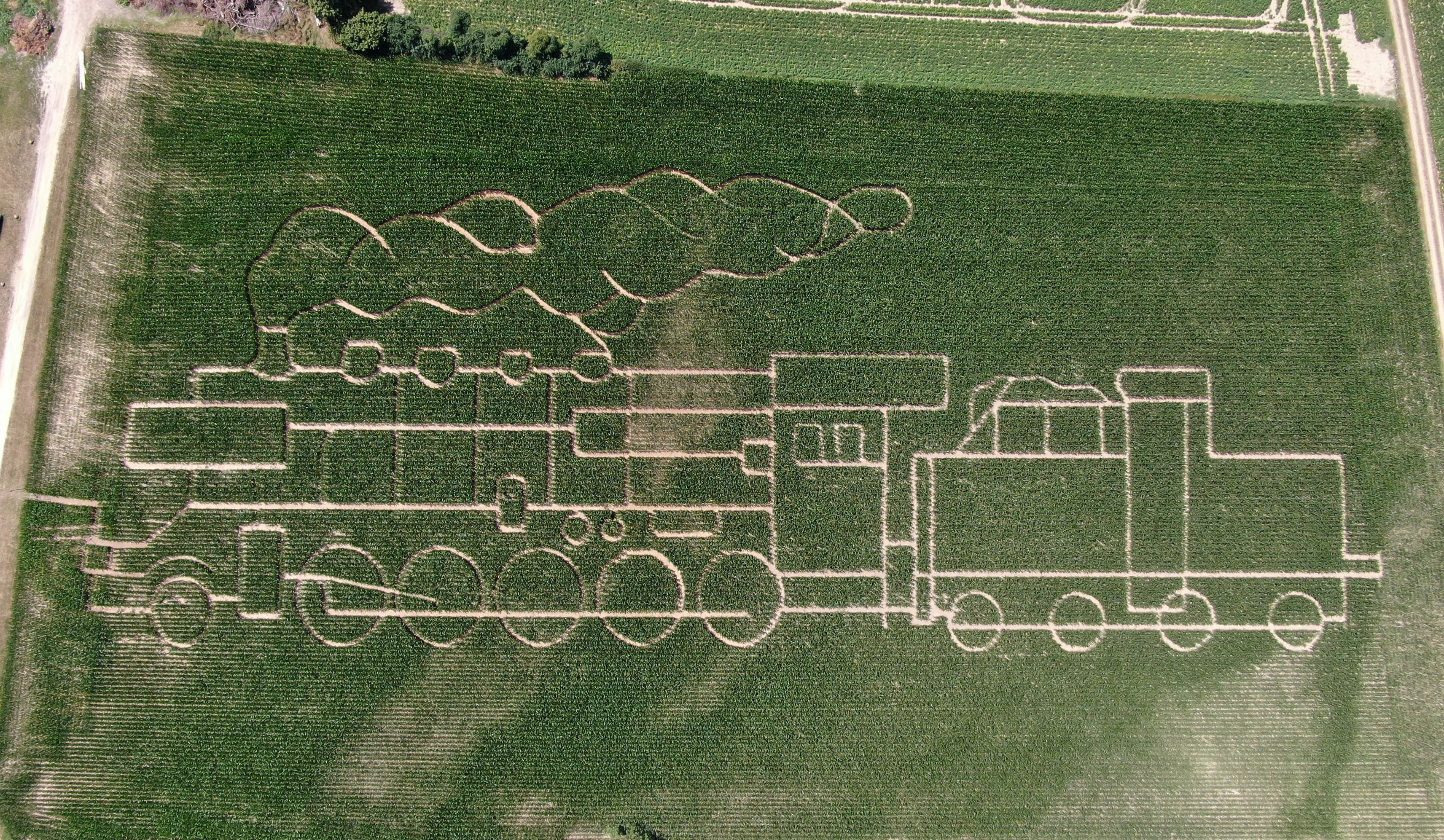 Unser Maislabyrinth 2025 in Form einer Eisenbahn